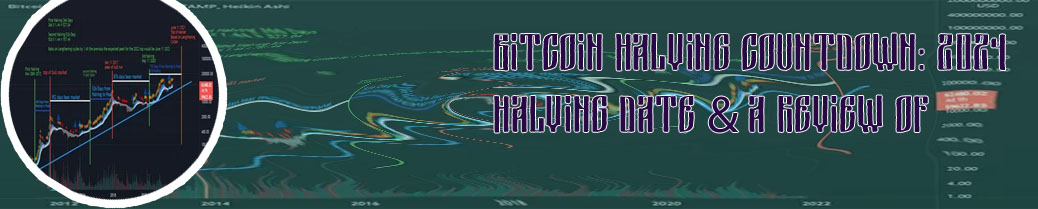 Bitcoin halving cycle