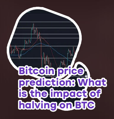 Bitcoin price usd prediction