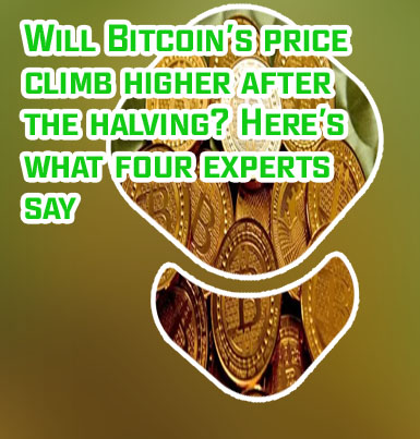 What are bitcoins worth