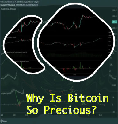 Why is crypto up today